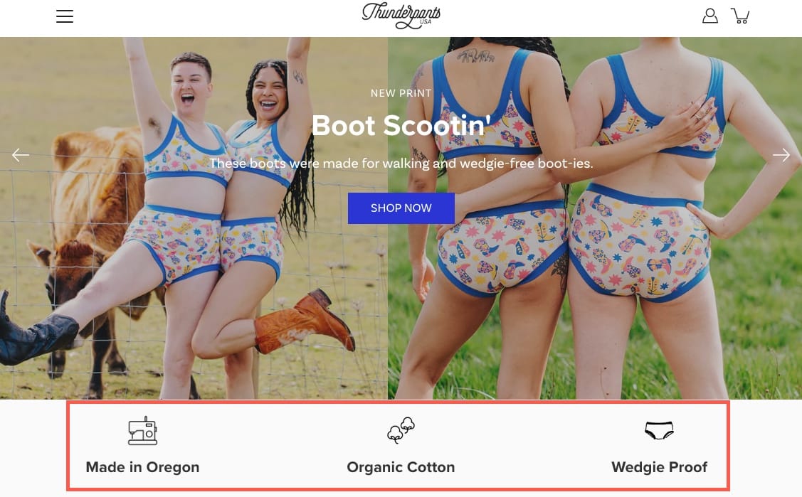 Thunderpants USA used low-cost Google Ads to discover Made in Oregon, Organic Cotton, and Wedgie Proof were customer-attracting copy.
