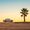 Dusk, white car, beach, palm tree