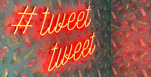 How Twitter for Professionals Boosts Business Visibility