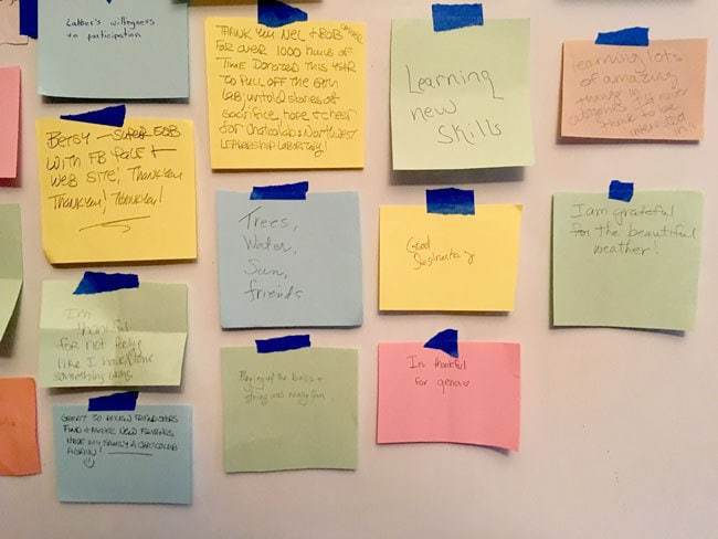 How Planting a Leadership Garden Transformed my Business (#1 Effective Leadership Tips) 9 Close-up, post-it notes, gratitude jar