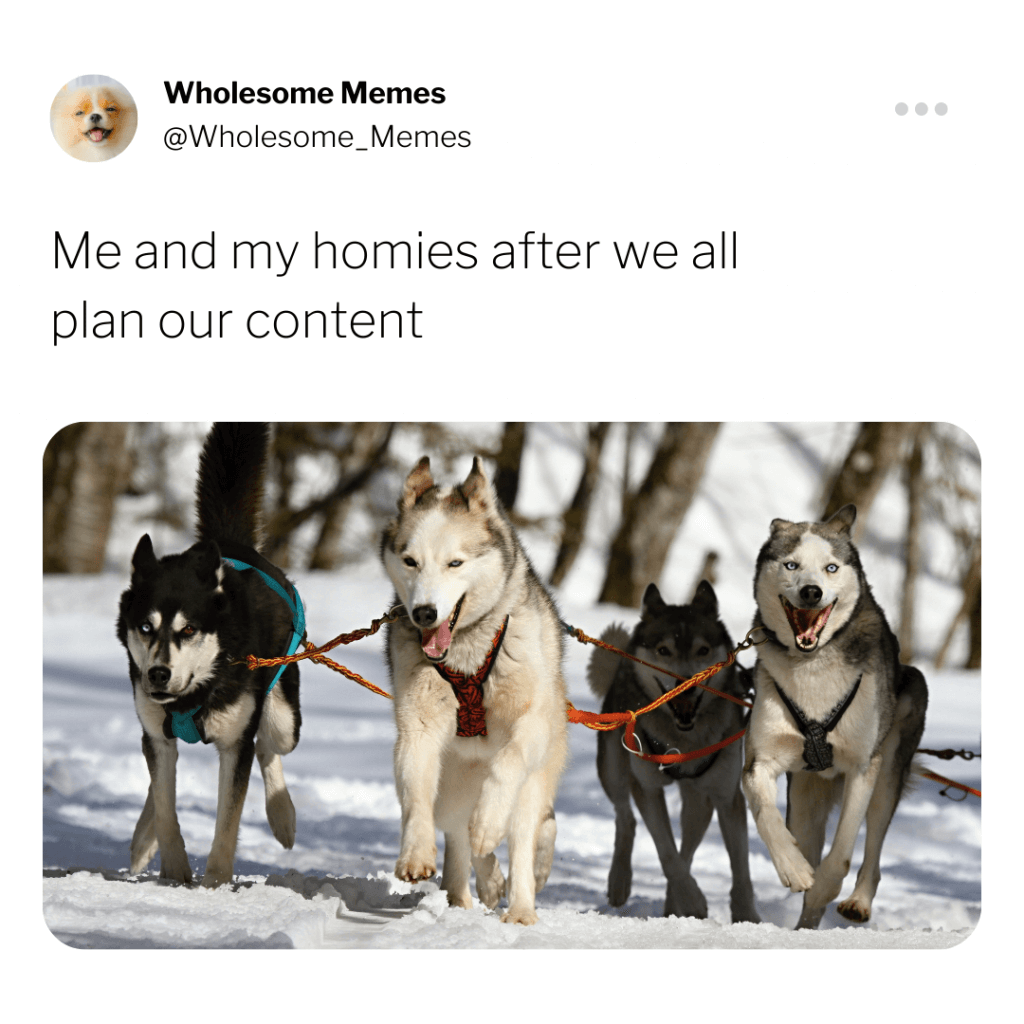 Why is the Content Planning Process Super Important in 2022? 6 Me and my homies after we all plan our content