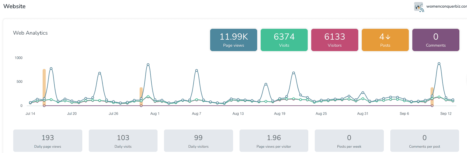 Maximizing Your Marketing Strategy with Metricool: A Comprehensive Review Metricool's website analytics.