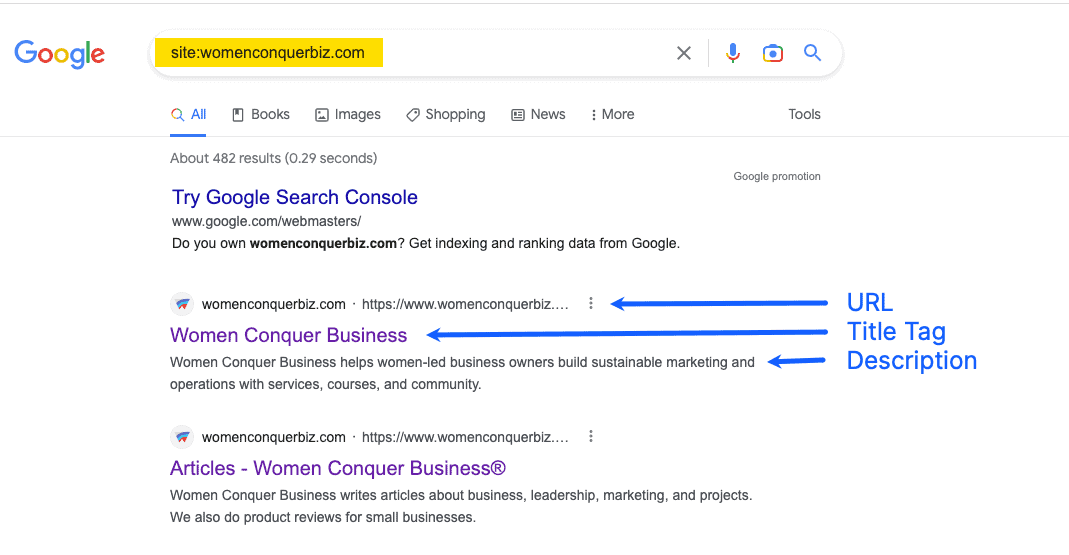 DIY SEO Made Easy: 5 Tips to Get You Started! WOmen Conquer Business SERP results example